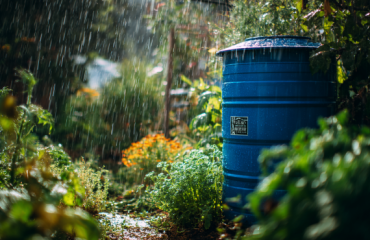 How to build a rainwater harvesting system