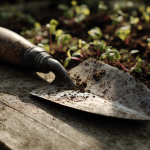 Understanding minimalism for self-sufficient living