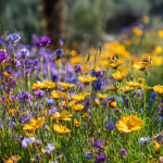 Creating a wildlife habitat in your backyard