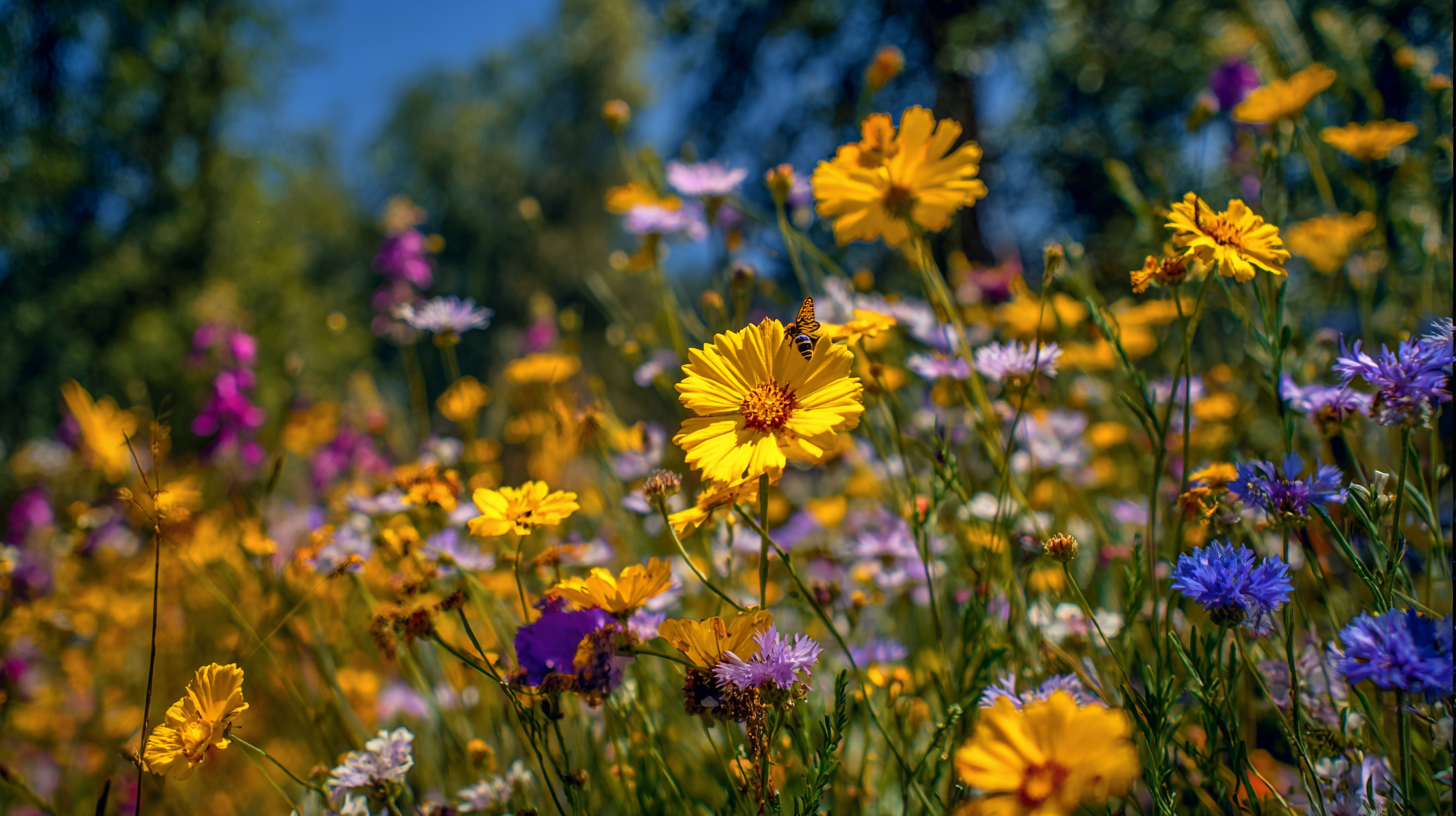Creating a wildlife habitat in your backyard 1 Creating a wildlife habitat in your backyard