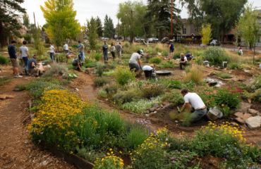 Homestead Inspiration Community - DIY Homesteading Resources 35 Understanding the principles of sustainability